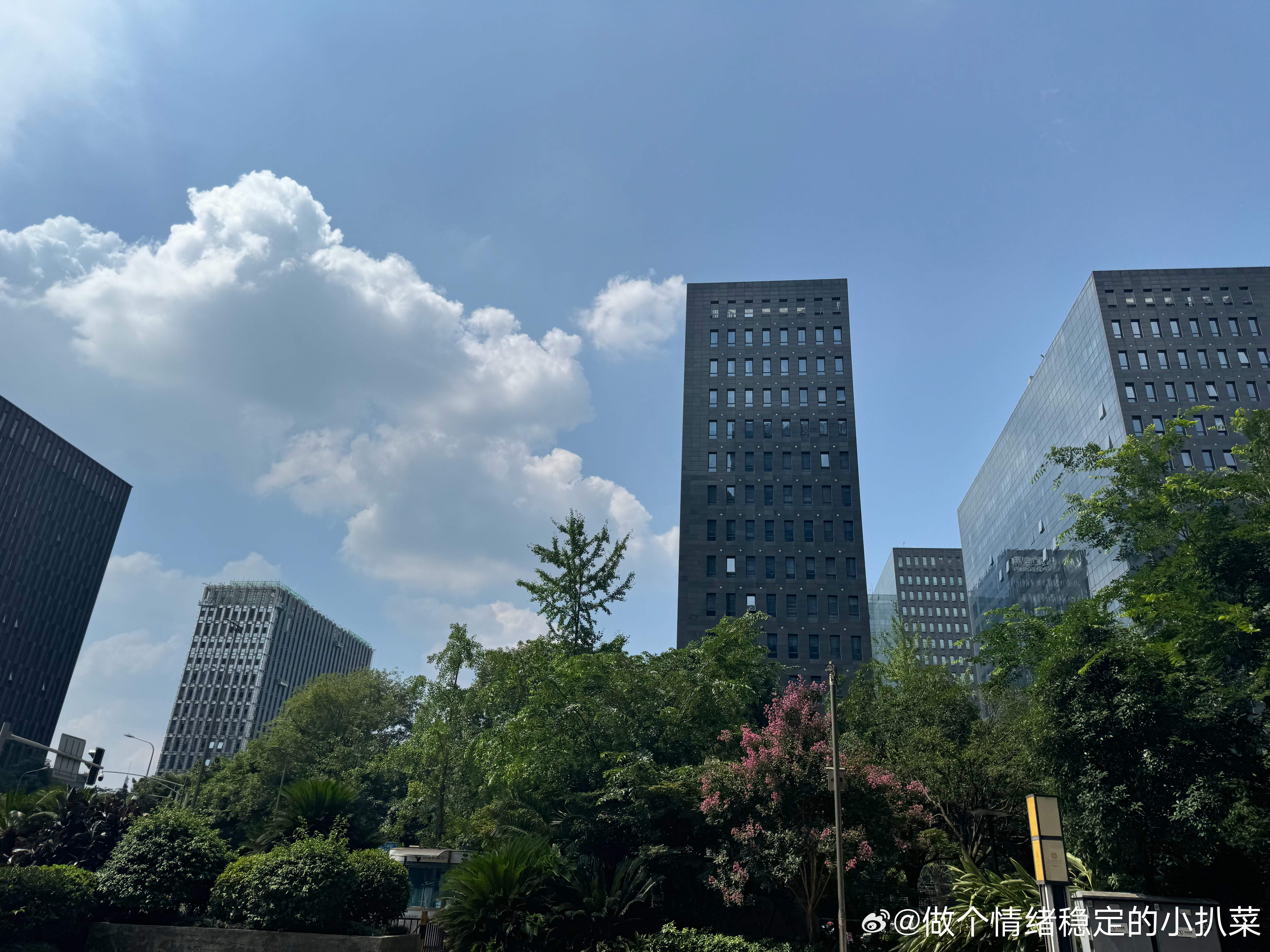 每日一善  心存善念,阳光就会照耀你;心存美丽,温暖就会围绕你;心存大爱,崇高就