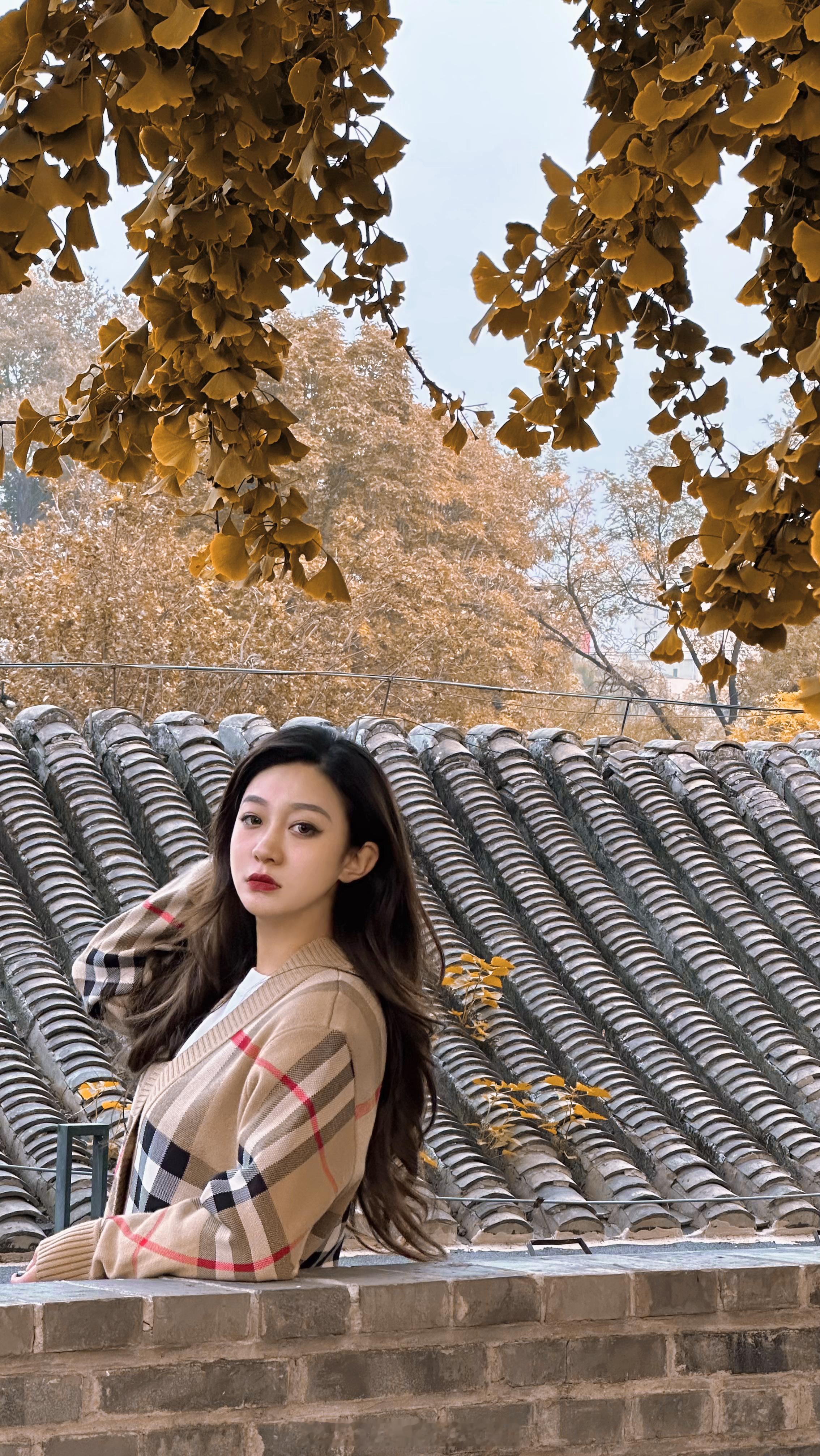 北平之秋🍁都藏在胡同里  ​​​
