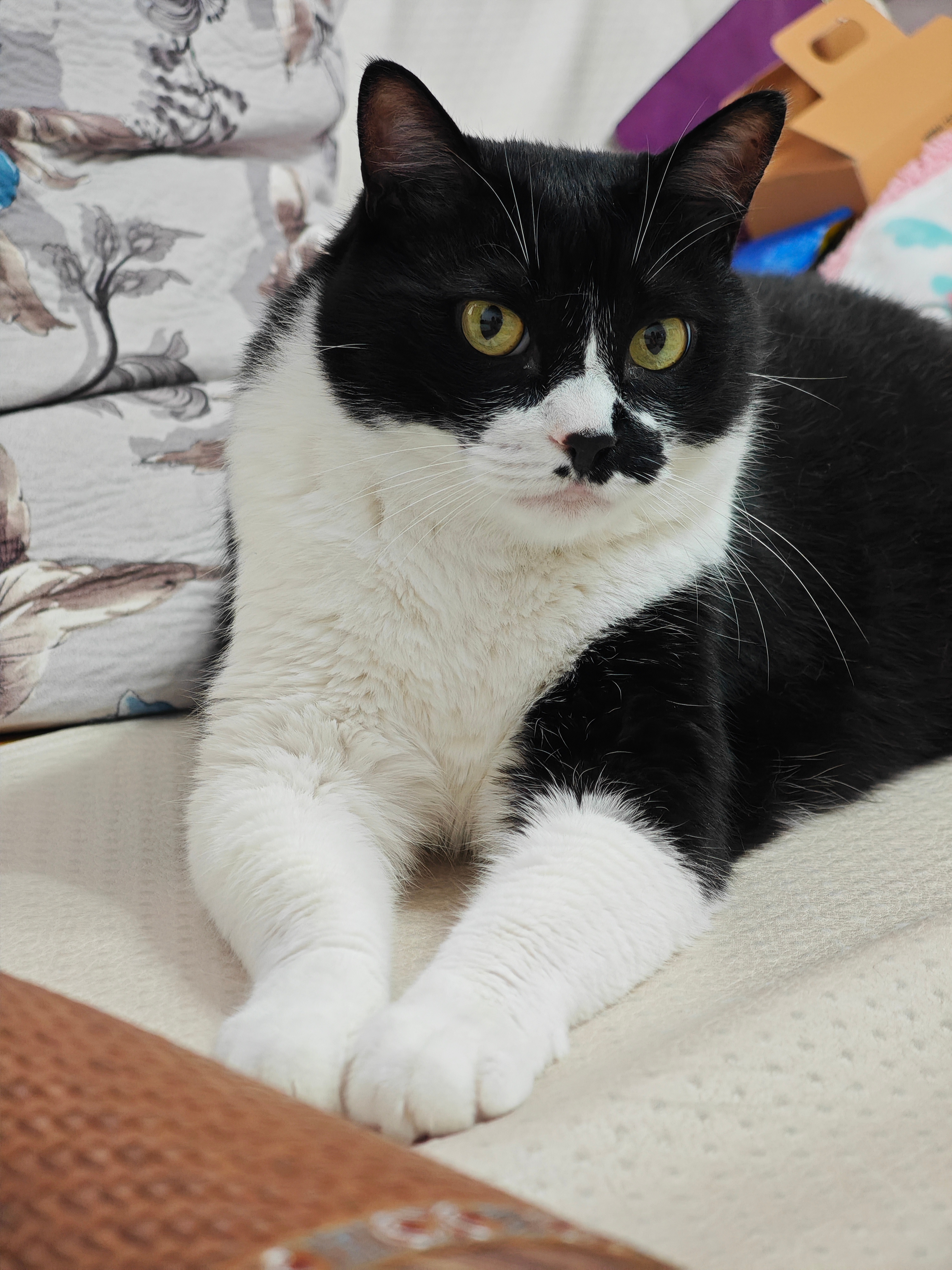 周末在家猛猛吃，拉屎那叫一个顺畅啊