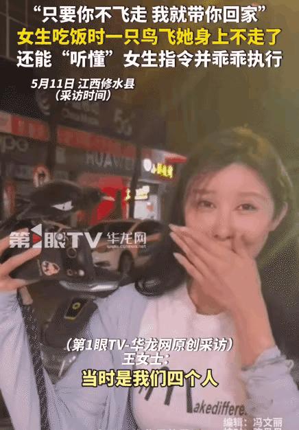 前两天，江西修水的一个路边摊儿发生了一件挺神的事，这段“鸟儿赖上美女”的画面在网