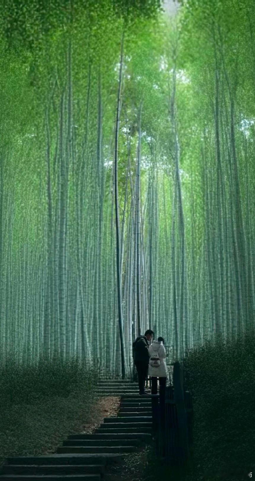 《忆江南·咏竹》江南竹，瘦骨立昏晨。劲节不随流俗转，清风懒顾附庸人。千古守天真。