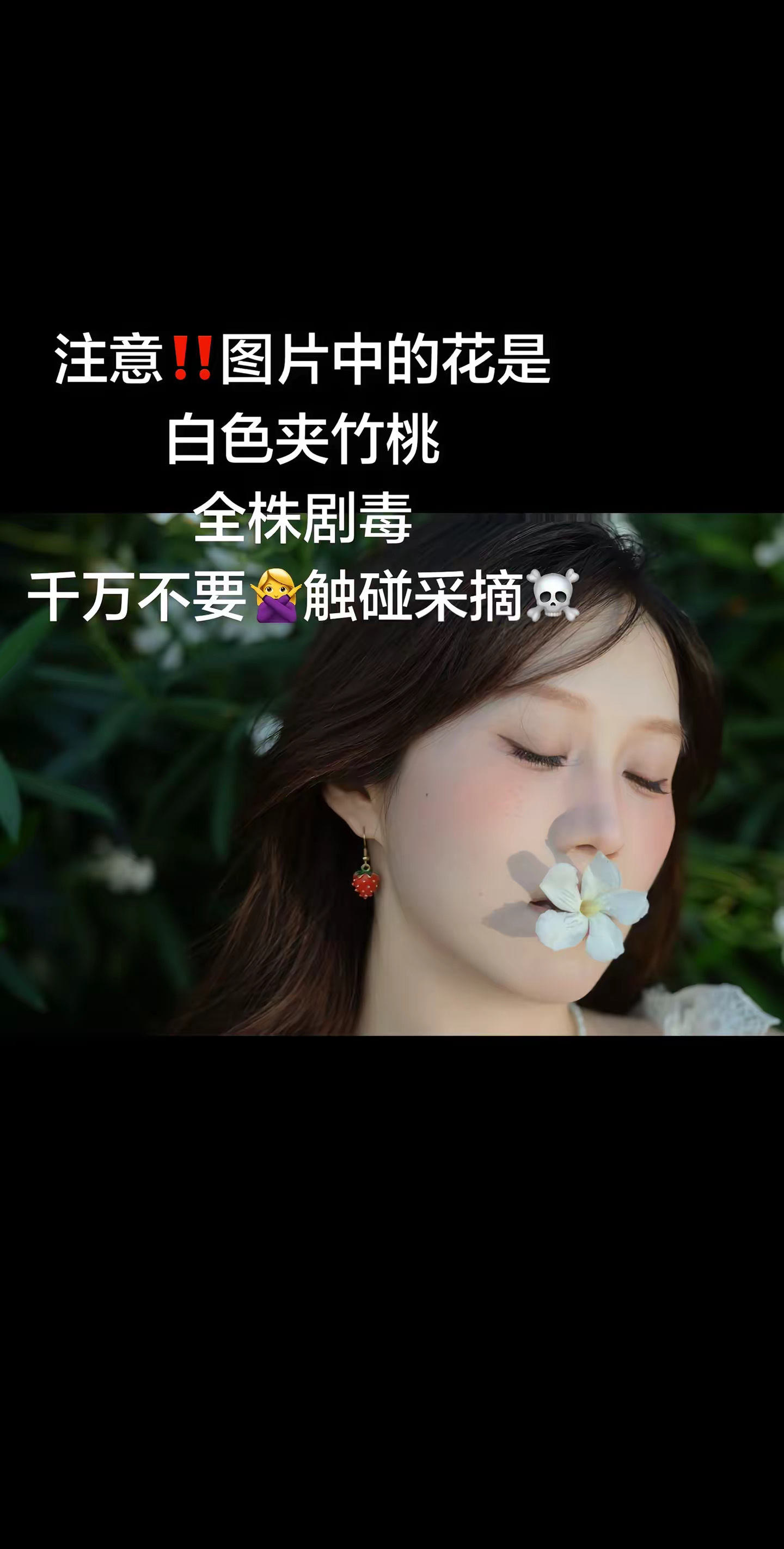 女生嘴含夹竹桃拍照中毒过敏泉州付女士外出取景拍照，短短几分钟和夹竹桃近距离接触，