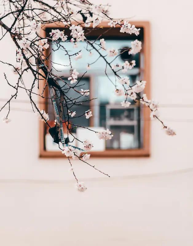 AI妙生图人间三月天。