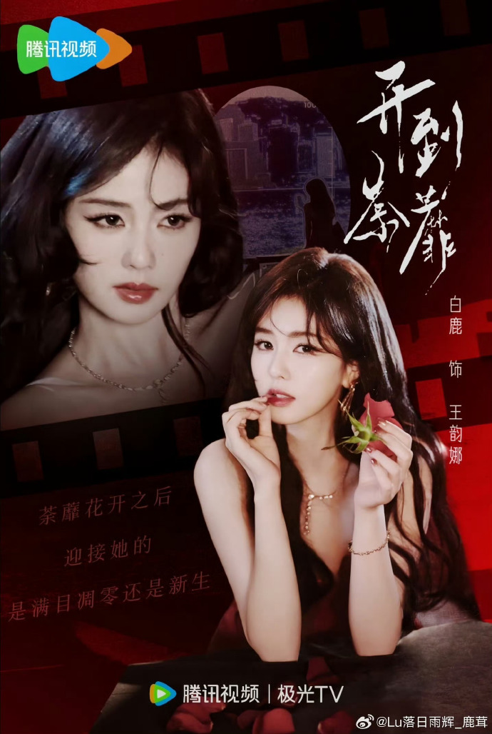 白鹿 白鹿王韵娜 白鹿开到荼蘼脸是名画，性格是童话，人生是电影，存在即神话