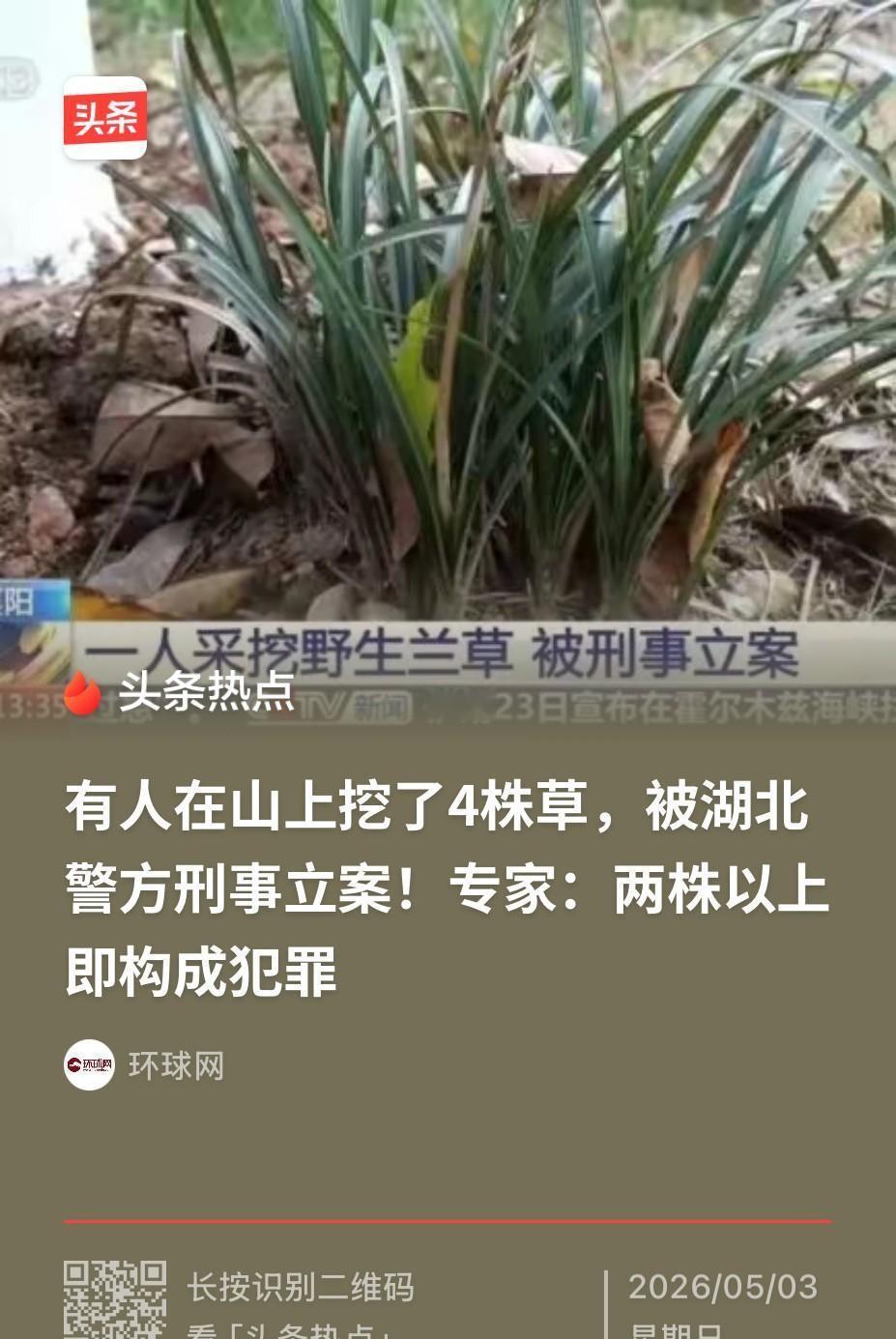 湖北襄阳这起案子，把无数人吓出一身冷汗——不是因为犯罪手段多恶劣，而是因为太容易