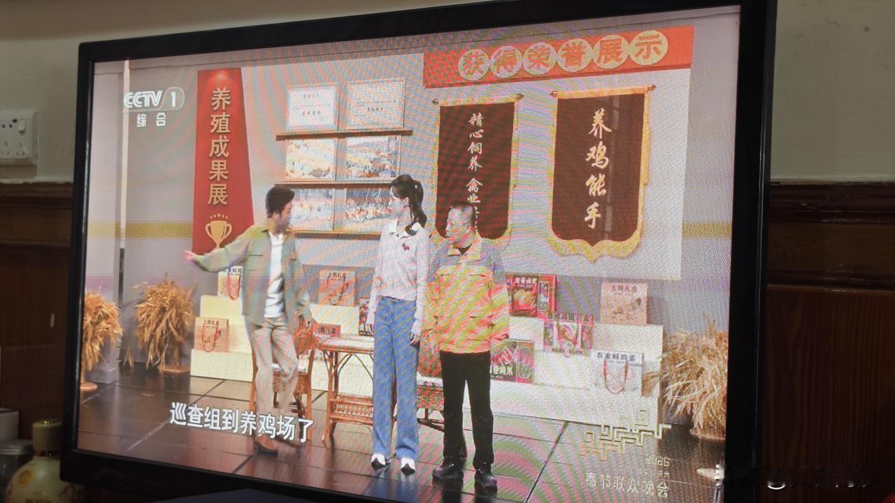 春晚最佳小品，
综合办，协调办，项目办
调研，集中签约，集体开工
最后巡视组来了