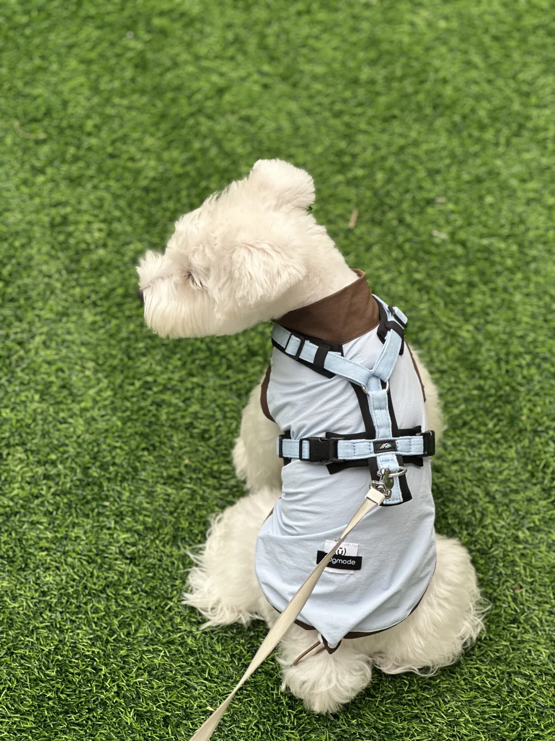 广东的天也太热了吧！