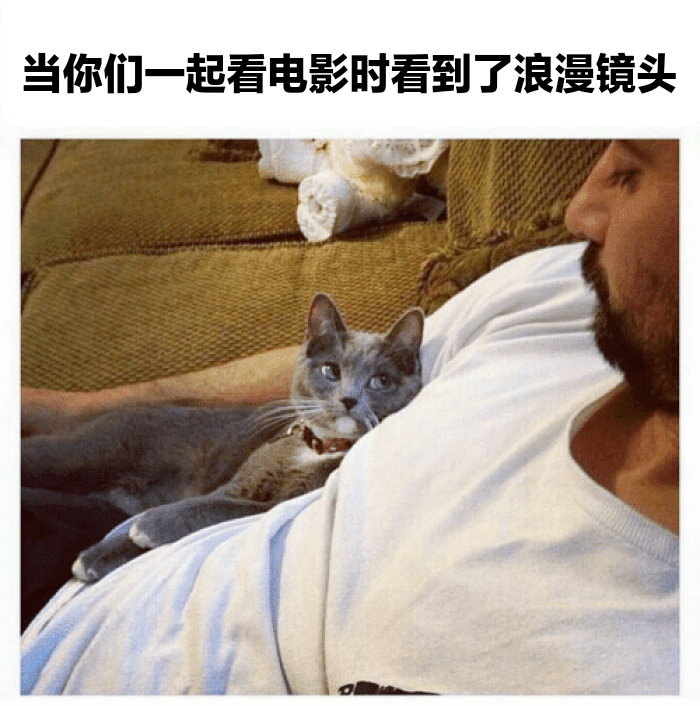 『恋爱』 ​​​