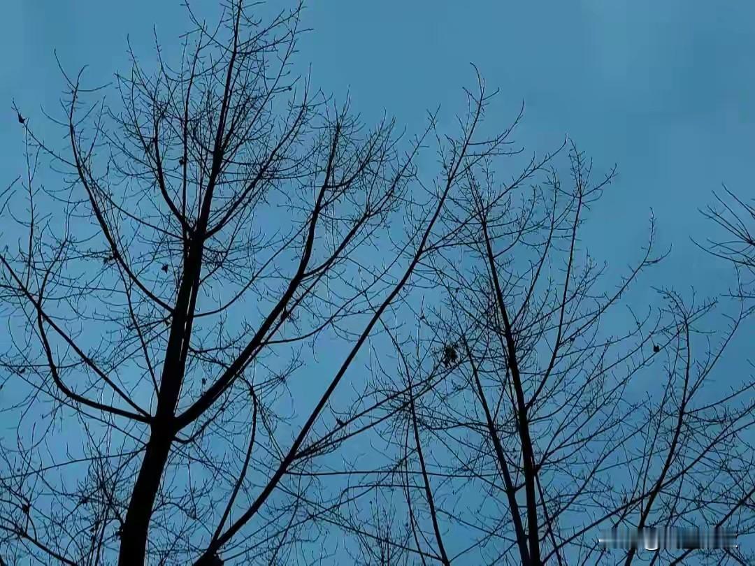 很多乱象的根源：藏在人事任用里的环节里！


       不少单位出现各类矛盾