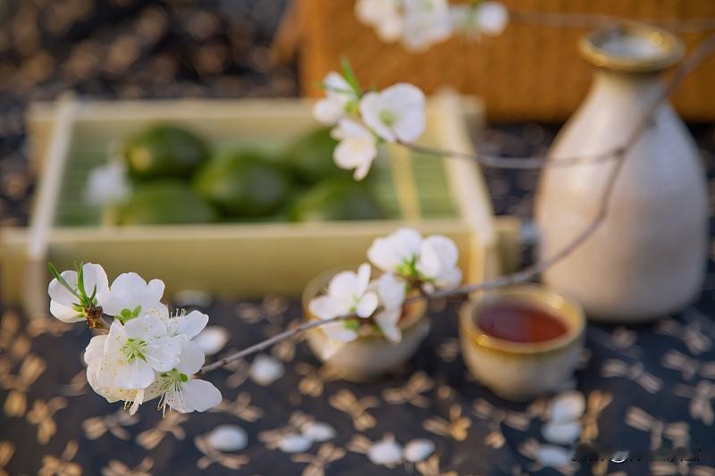 清明时节，阳气上升，万物生发，阴阳和合，天地间气场最活，气运转换，能量显化，是改