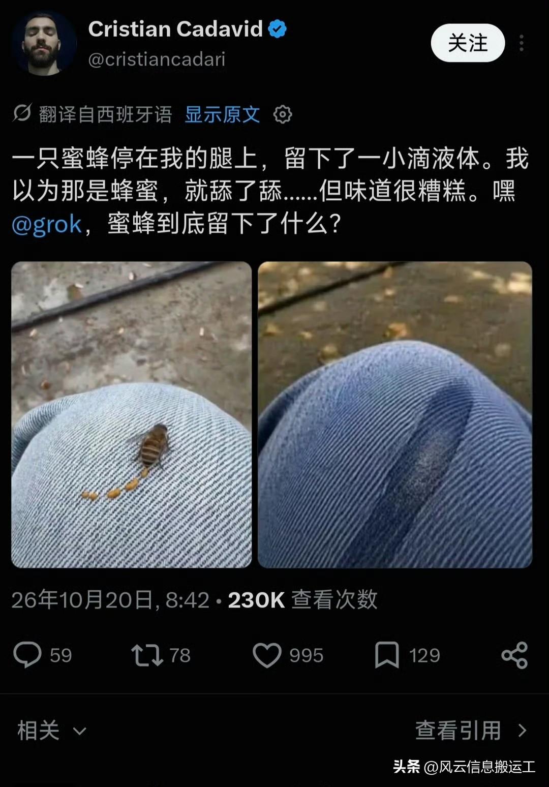 国外网友发帖，有一个蜜蜂停在他身上，尾部留下了一点液体。他尝了下，味道不好，就问