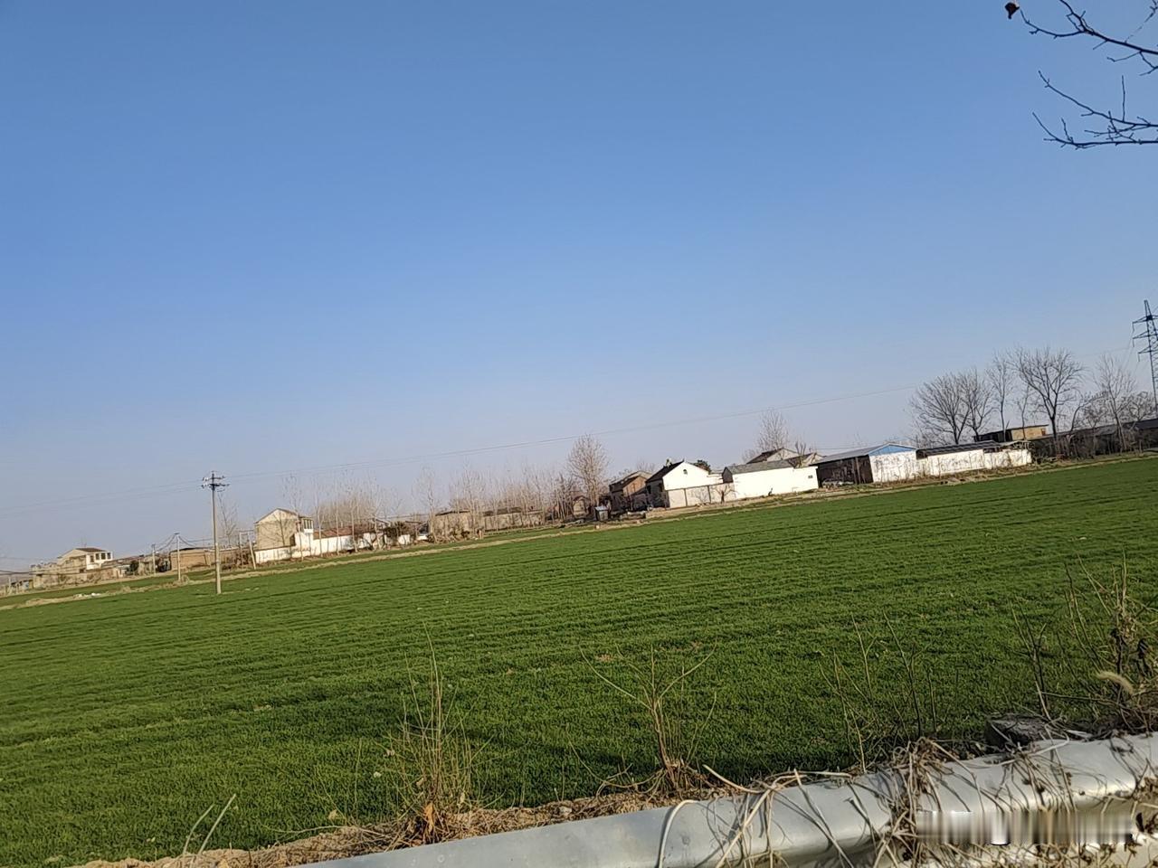 晒图笔记大赛苏鲁豫皖都像自己的庄子