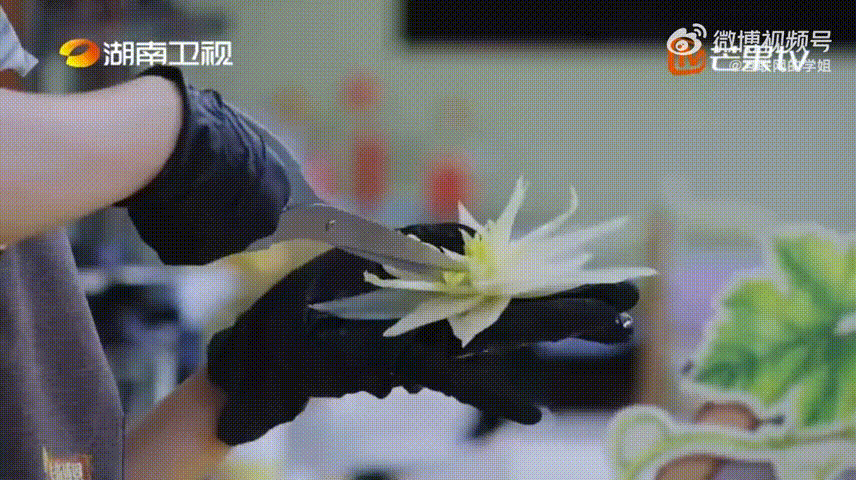 靳梦佳成长就是工作留痕碗妹这个标签陪着靳梦佳走过很久，而她没有困在标签里。当初埋