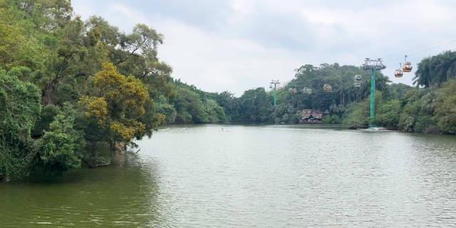 鹈鹕觅食
最后彩蛋
就是摸鸟蛋🪺

这都是什么人啊
说真孩子就是强迫被他俩谁收