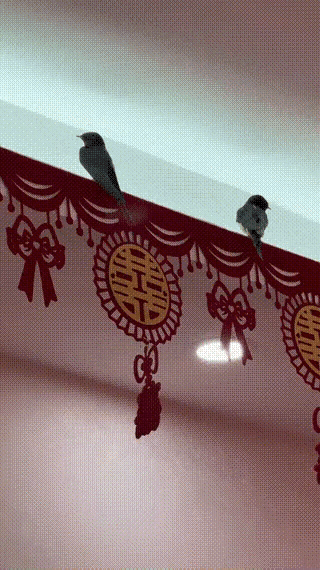 老人说这是好事，但是会不会送点其它给我的呢？