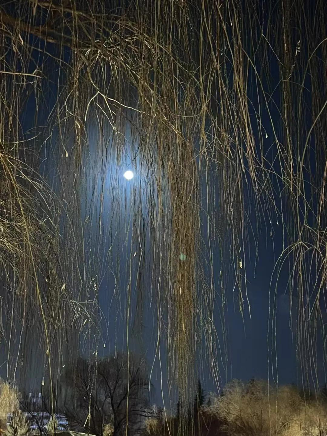 当一个人的认知还停留在旧社会，就请多听听道德经，万经之首一定会拯救你，让你随喜豁