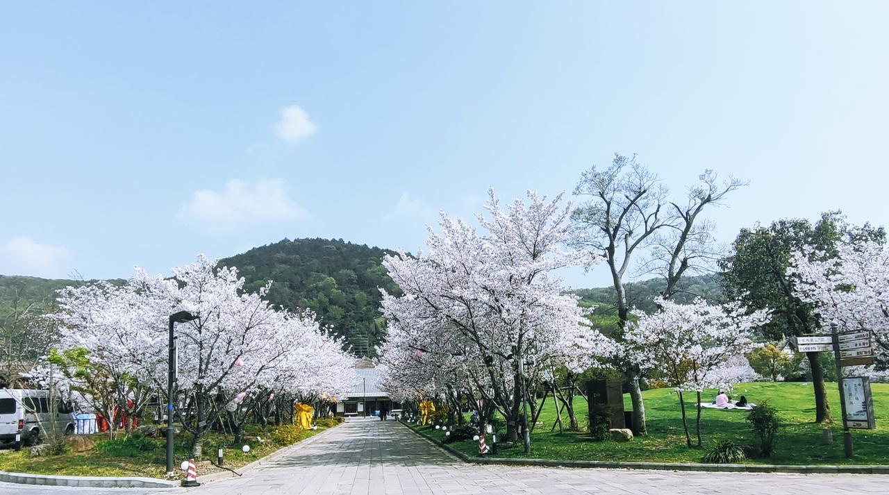 爱而不得本就是感情里的常态，执着纠缠只会耗尽自己，也为难对方。放弃从不是认输，而