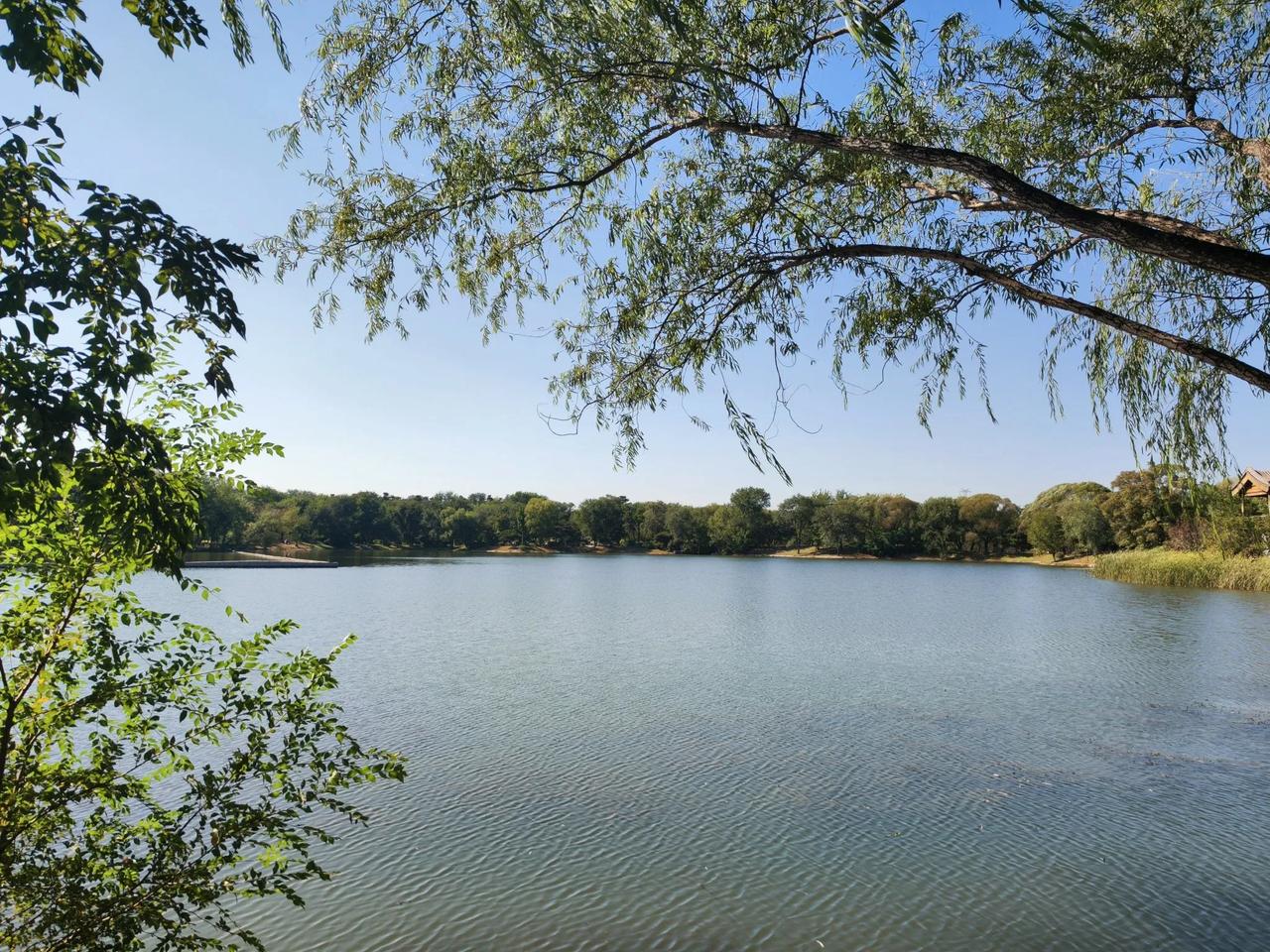 晨练两百个俯卧撑，卷腹，正心正念，坚持做长期正确的事