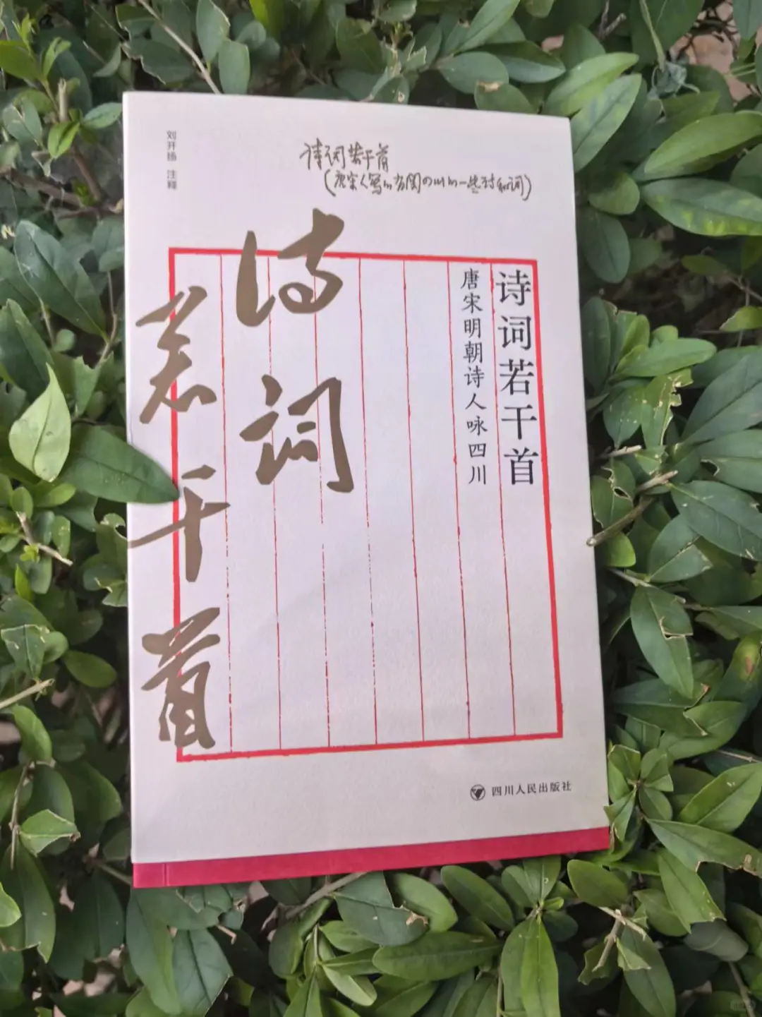 《诗词若干首：唐宋明朝诗人咏四川》