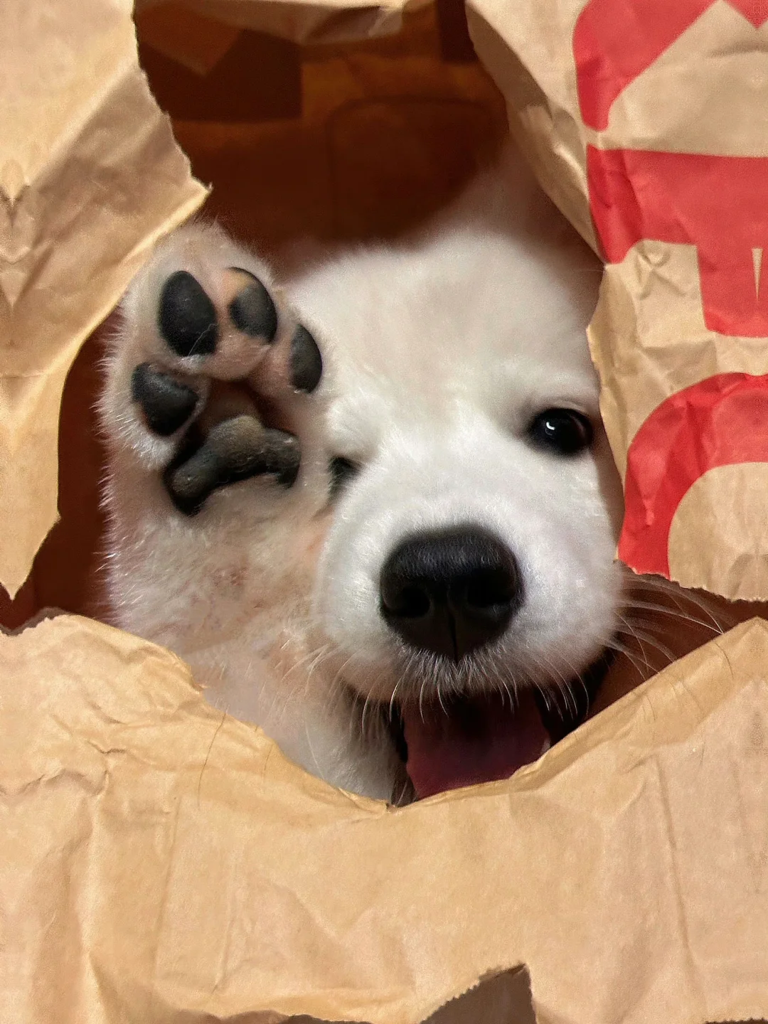 您的耶耶宅急送已送达🍟