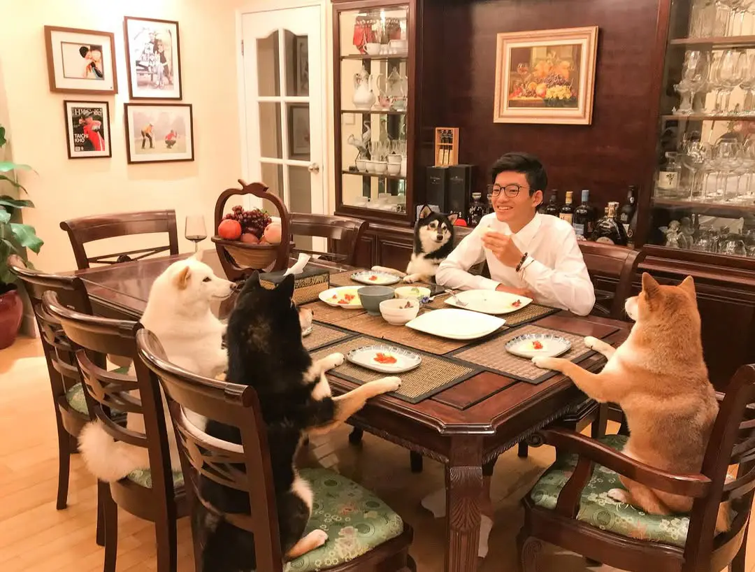 开个家庭会议