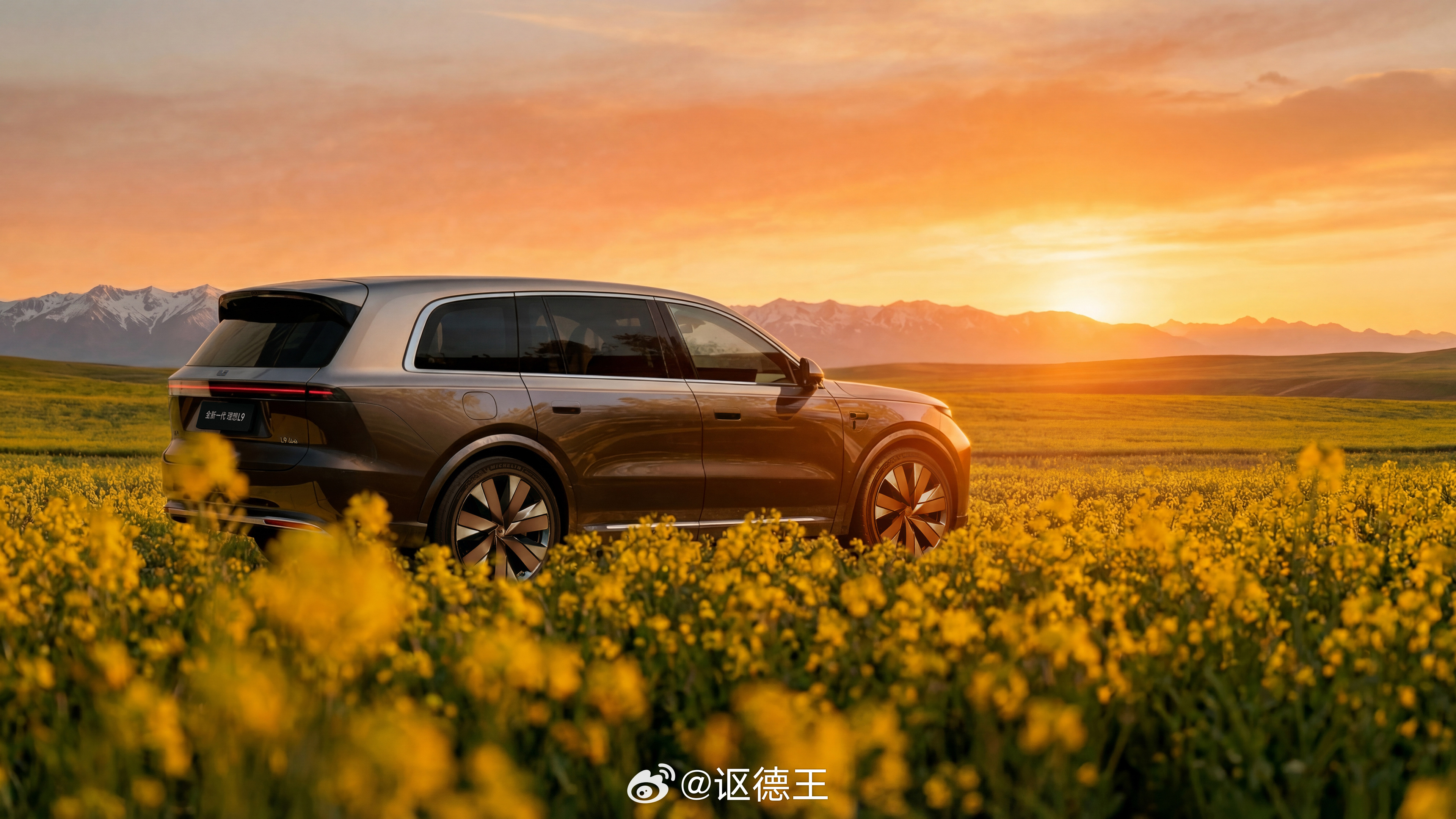 春天花会开，L9也会来。豪华不止一种定义，理想或许是更理想的选择，让我们拭目以待