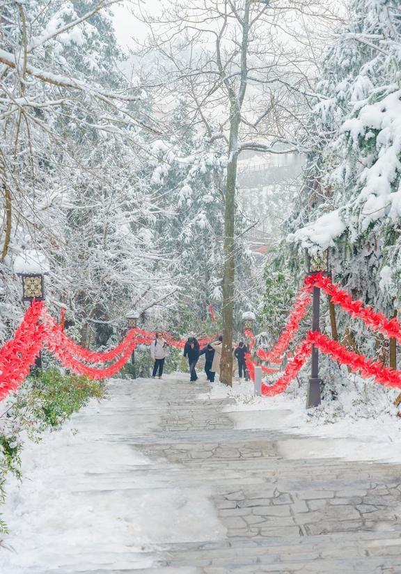 -7℃！准备好，绍兴真的要下雪了🌨️
绍兴跨年下雪了？这稀奇程度直接拉满🎊