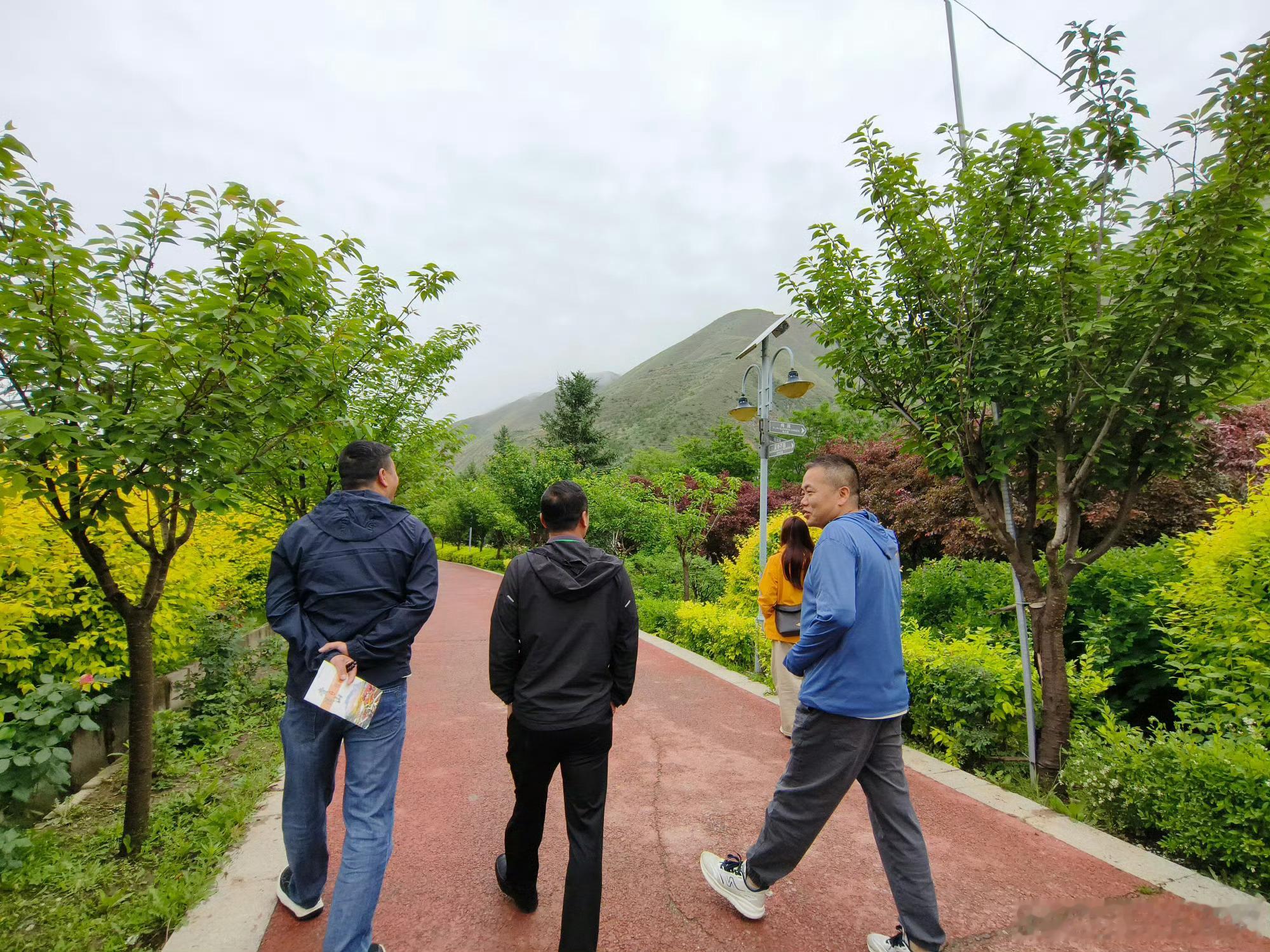 甘肃贵清山植物园的生态之美【文旅融合，让生态价值可感可享】 贵清山植物园巧妙打通
