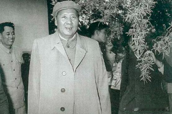 1952年毛泽东到访济南时，询问许世友等将领济南是如何来到的，众人竟一时无言应对