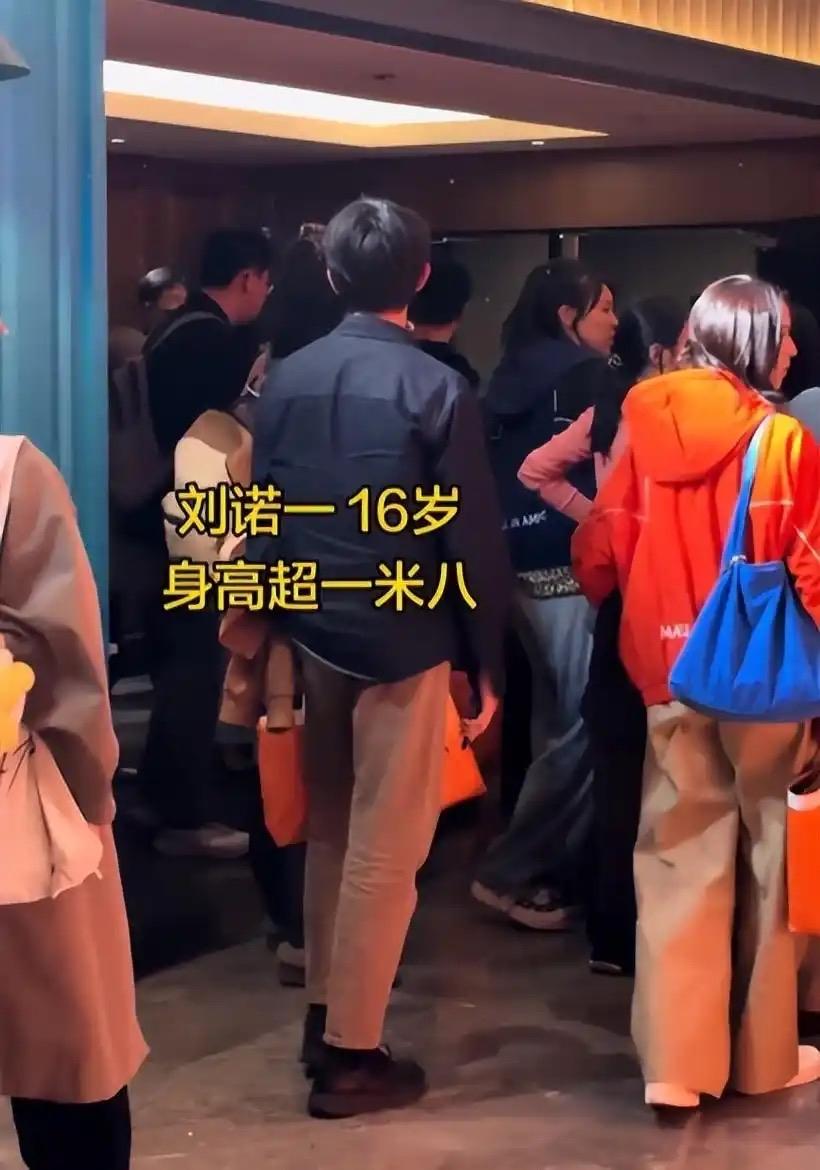 当年《爸爸去哪儿》里喊"爱爸爸80秒"的小诺一，一眨眼16岁了！

近日刘烨儿子