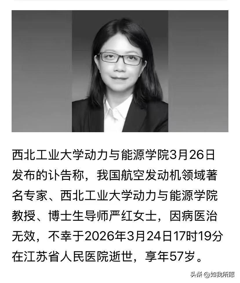 如果你见过严红教授，
你可能只会觉得
她是个要求特别高、做事‘一丝不苟’的严厉老