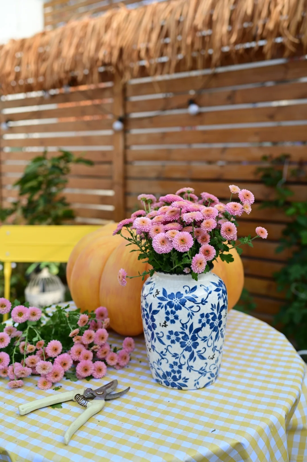 我的小院不欢迎孩子和男士！正常吗