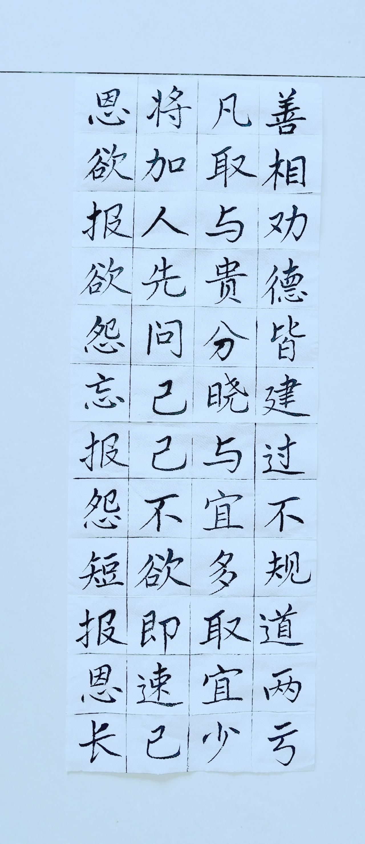 第四十一天《弟子规》（18）楷书练习！毛笔楷书练字 楷书初练 弟子规书法