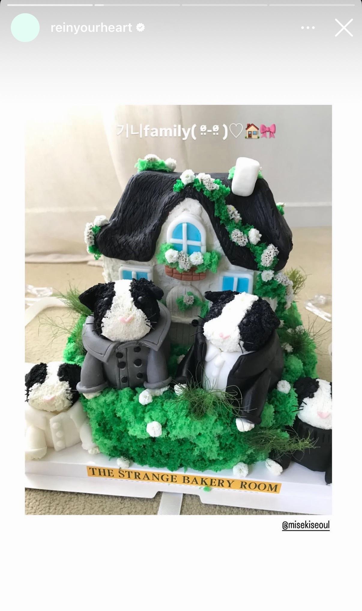 快拍更新豚鼠cookie 豚鼠family@ misekiseoul 一直以来非