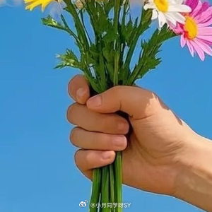 早安心语 新的一天已经开始，让温暖的阳光照亮你的前路，让清爽的晨风带走所有疲惫。