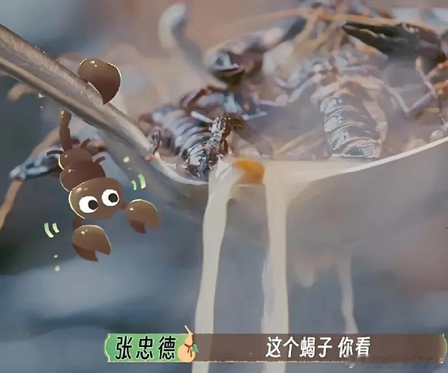 徐璐一行人在广州偶遇一家以蝎子煲汤的食补店，众人吓得脸色骤变，无人敢尝。中医张忠