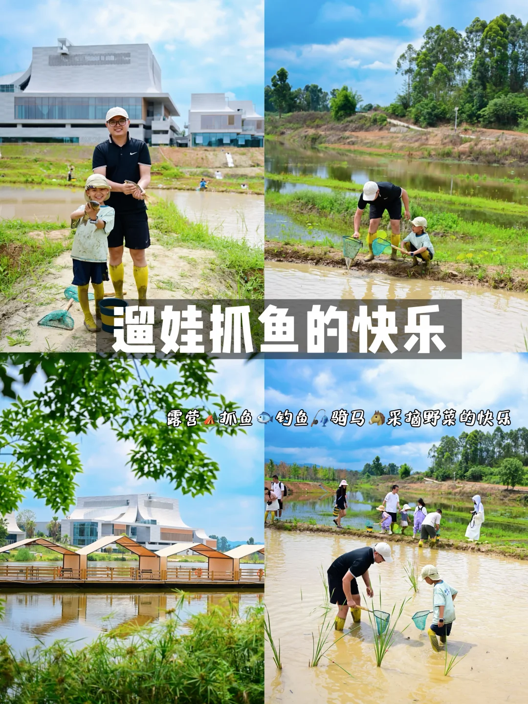 六一田园遛娃‼️亲子稻田抓鱼🐟的快乐啊