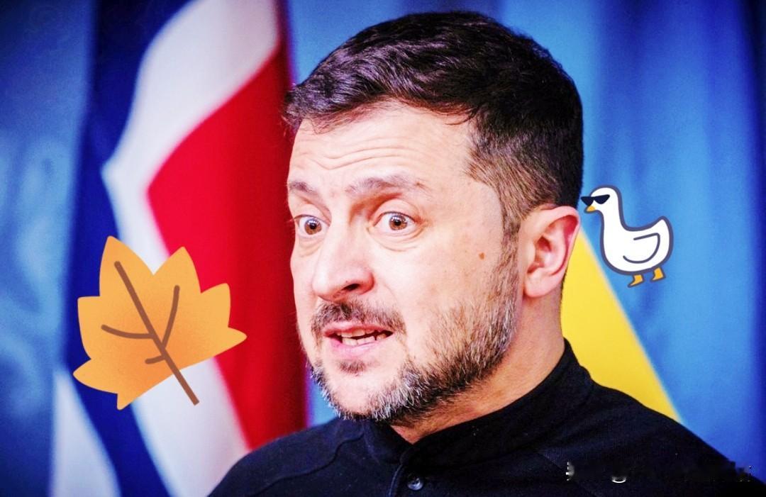 乌克兰消息！
泽连斯基宣布了！

当地时间12月11日，泽连斯基对外放话，给美国