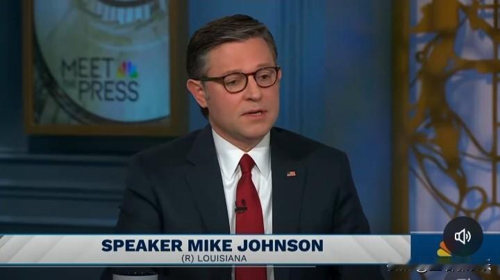NBC新闻主持人克里斯汀·威尔克：你认为国土安全部需要新的领导吗？
众议院议长迈
