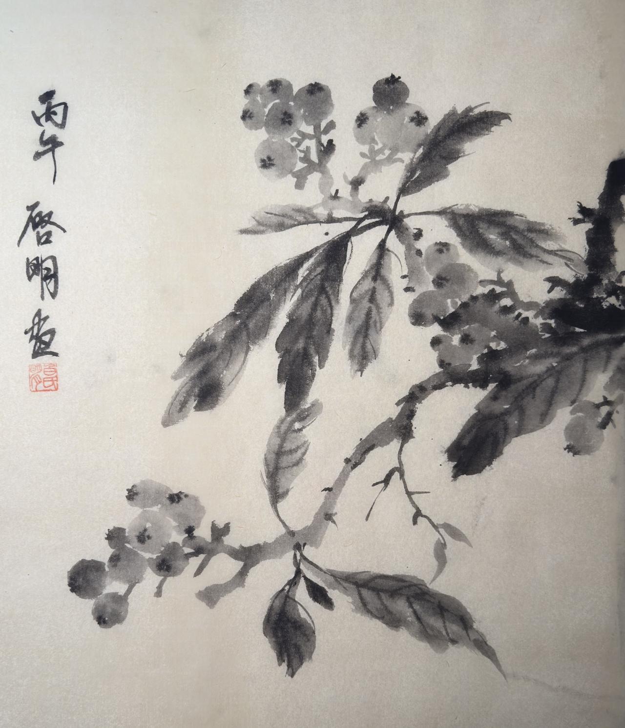写意花果 自然与笔墨 写意之美 水墨笔意水墨枇杷
