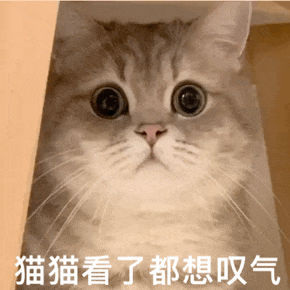 人的心气是能重新养回来的越善良、越懂事、越替别人着想的人，往往活得最累最委屈。总