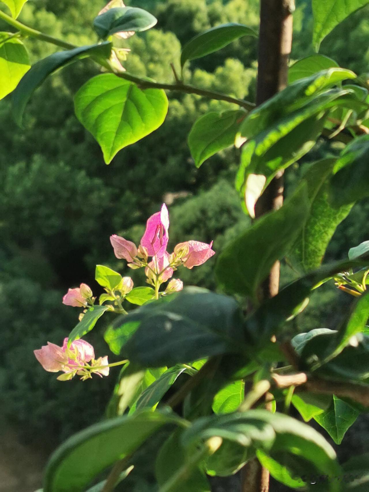 儿子突然问我：妈，你初恋是谁？
我说：你爸啊。
空气瞬间安静了，连呼吸都听的清清