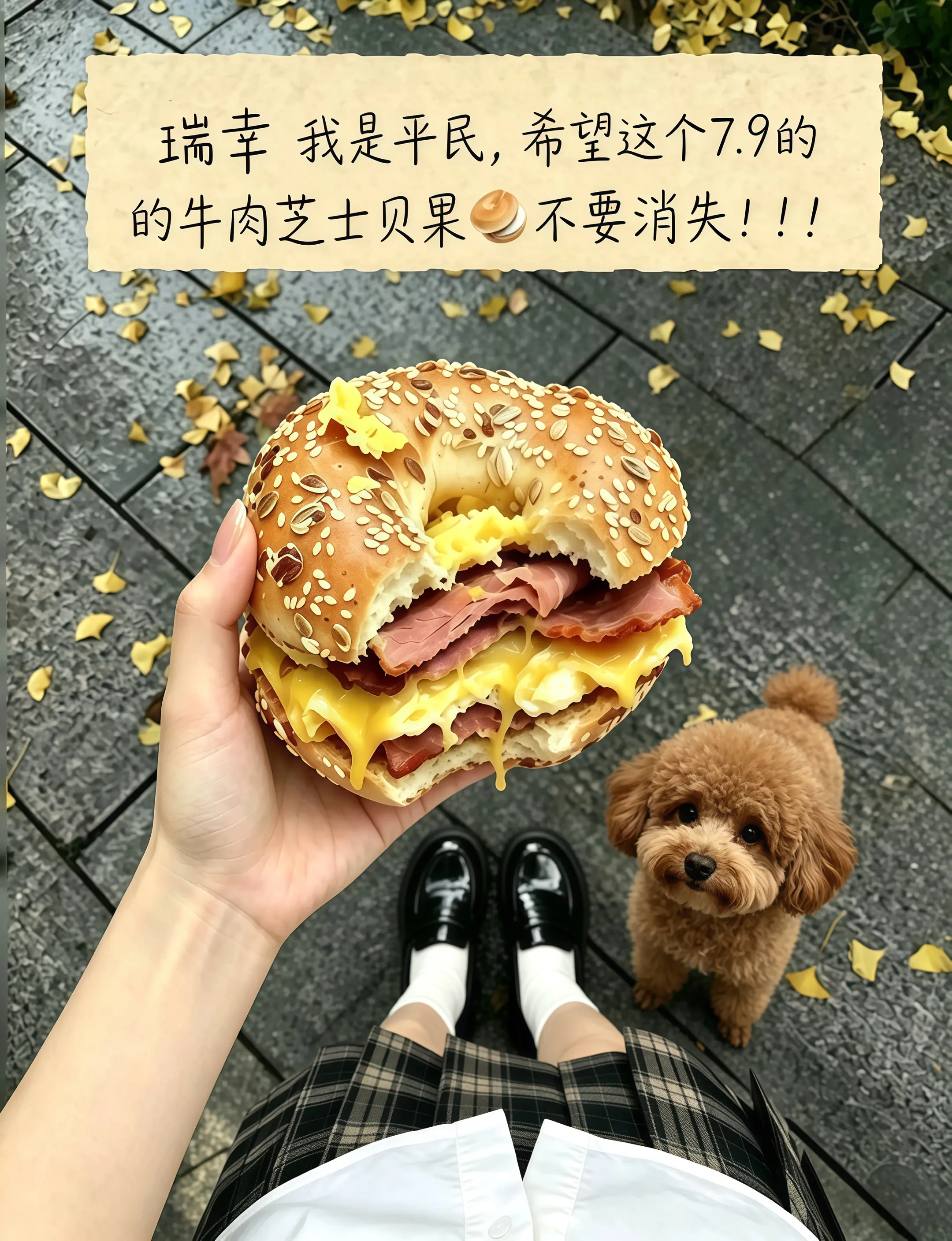 瑞幸，你转行做面包吧，馋了好久的牛肉芝士贝果重磅回归啦！