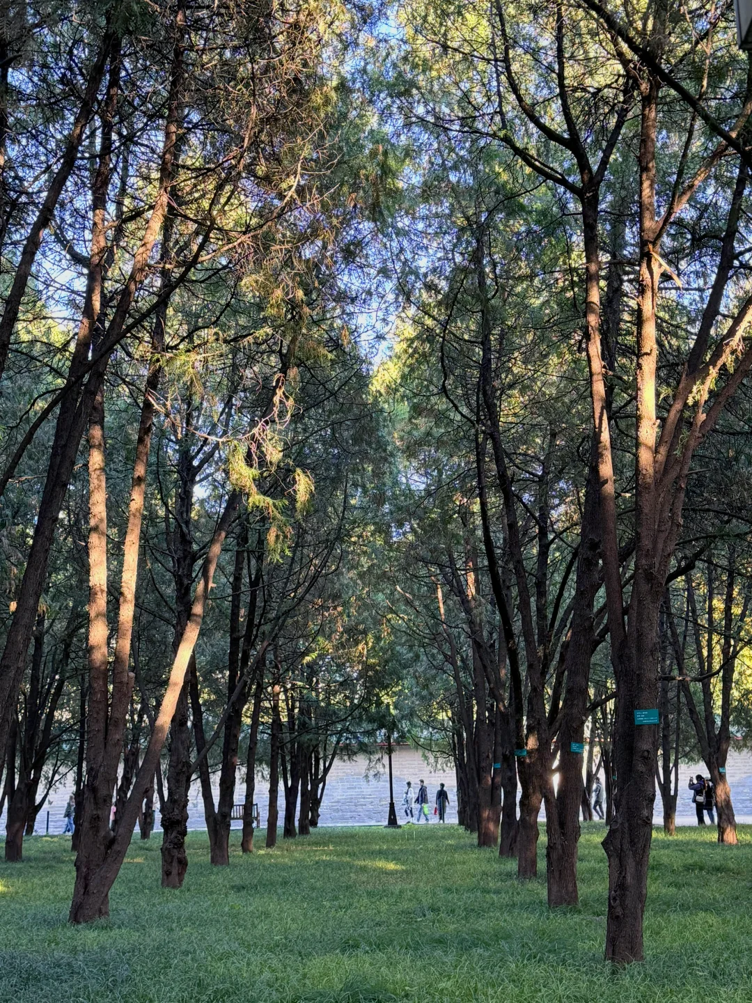 谁说北京没有海……