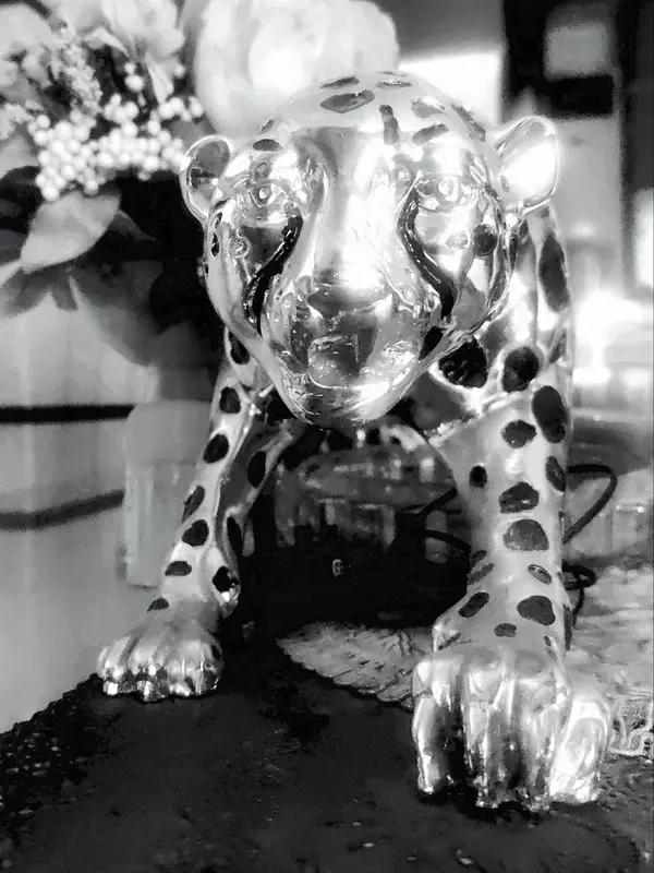 向太建议年轻人存款没200万别买车，这建议一出来就在网上炸开了锅。她觉得车只是代