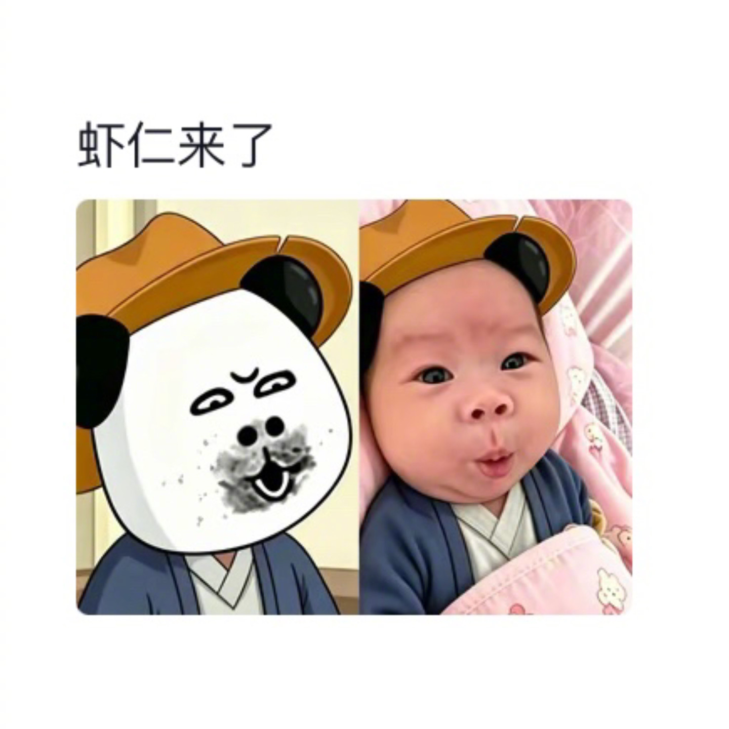 和表情包长得像是种什么体验