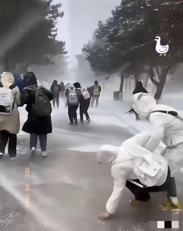 东北冬天的路面，简直是“天然平衡训练场”！雪后结冰的路面滑得能当镜子，踩上去自带