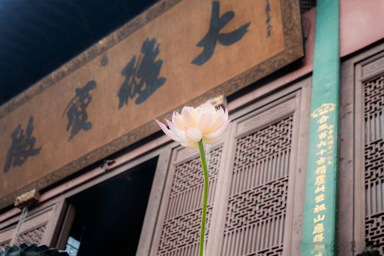 官杀的人不喜欢拖泥带水，有事说事，没事不闲聊。 
