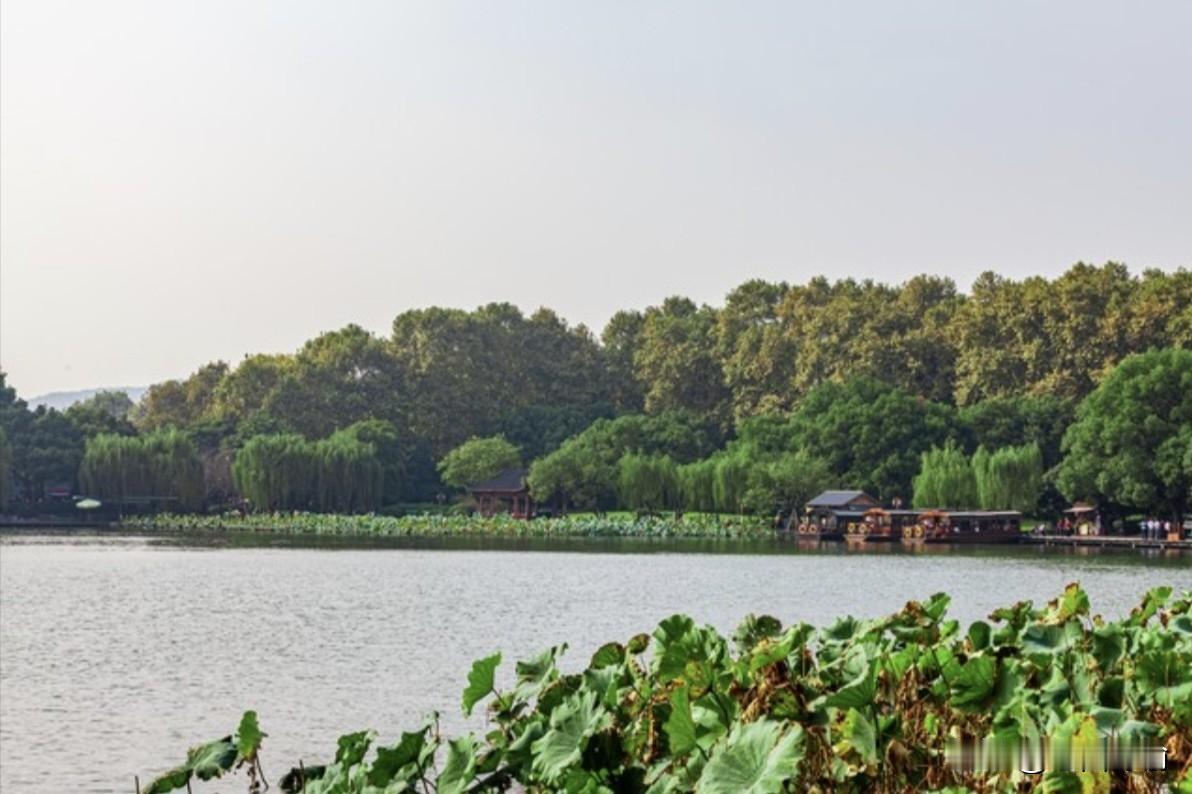 春风不花钱，美景免费赏！2026年国内多地景区免票开放，西湖苏堤春晓、大理洱海花