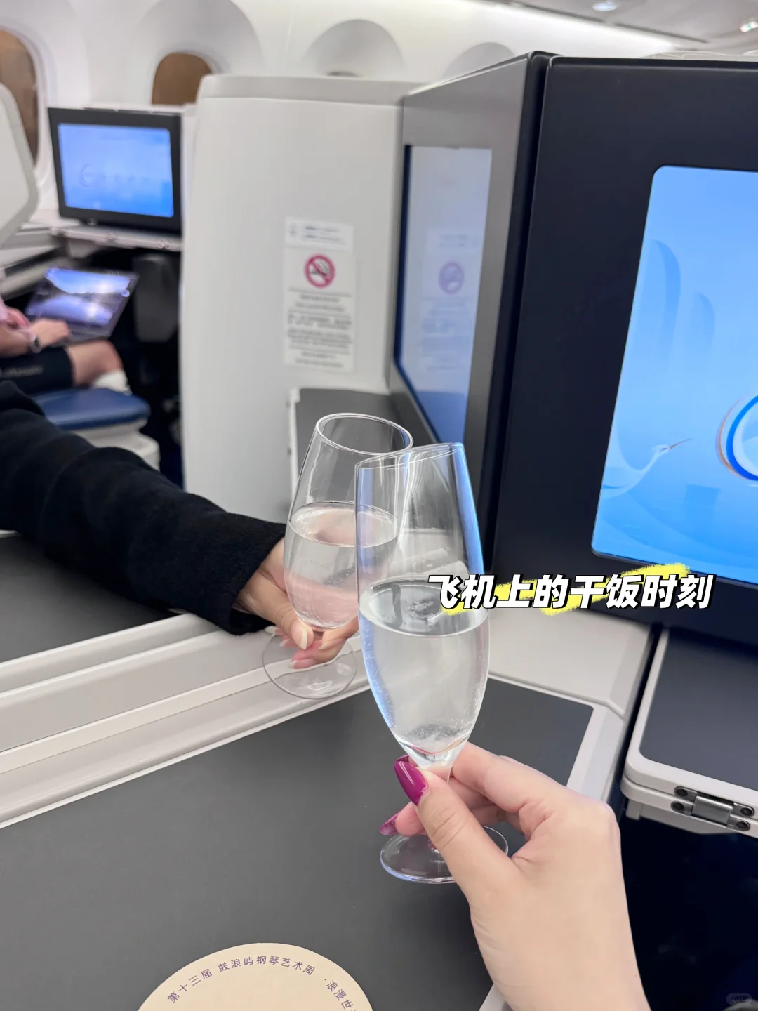 旅行plog🕊️🐰